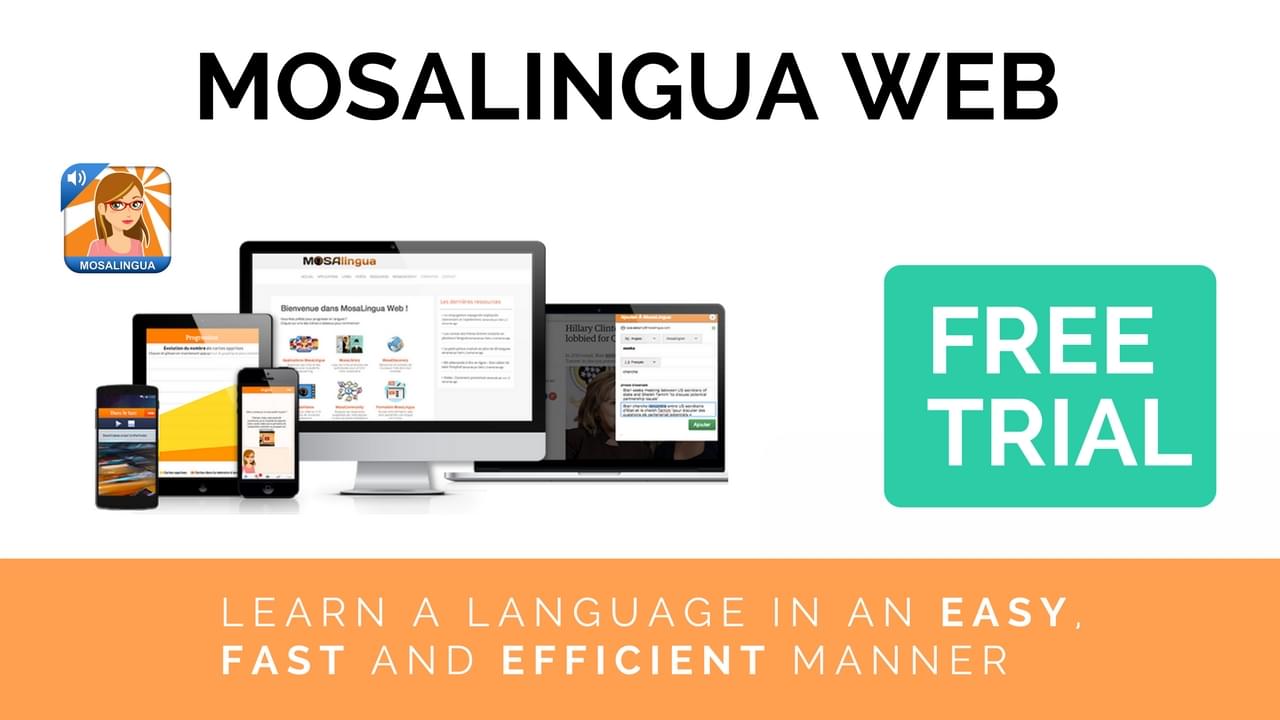 MosaLingua Web